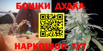прущие грибы Кандалакша