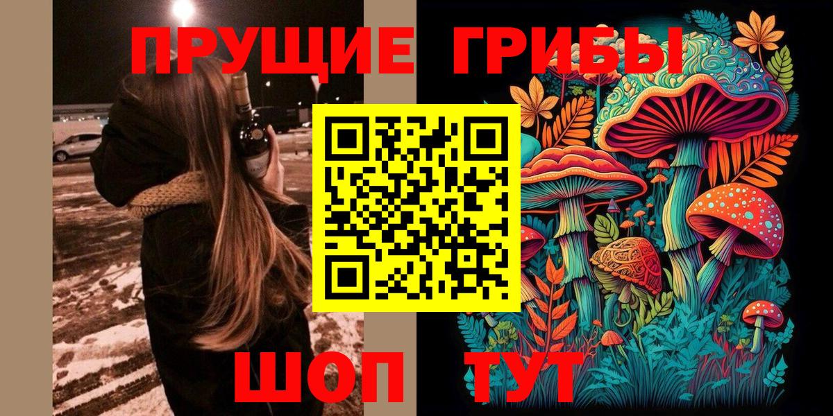 Псилоцибиновые грибы GOLDEN TEACHER  Вход с VPN  Курчатов  Псилоцибиновые грибы Magic Shrooms 